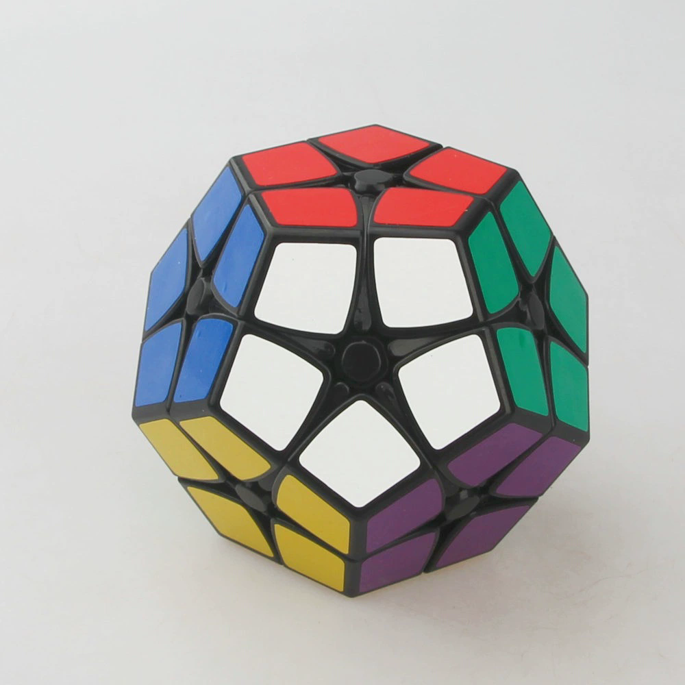 (image for) Shengshou 2x2x2 Megaminx Magic Cube Black