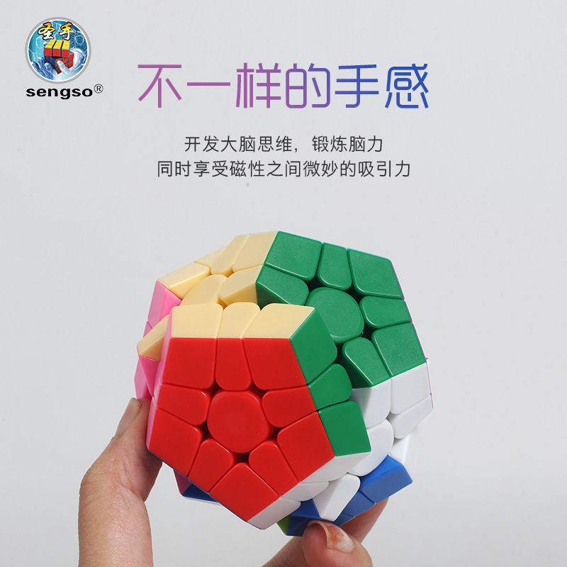 (image for) ShengShou Mr. M Magnetic Megaminx Cube Stickerless
